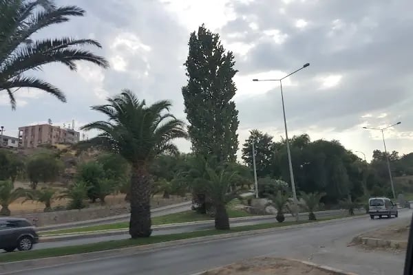 Ali Kemal Sunal Parkı - Resim 5