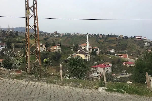 23 NİSAN İLKOKULU - Resim 5