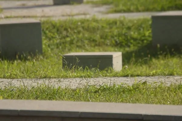 Park İzmir Çocuk - Resim 17