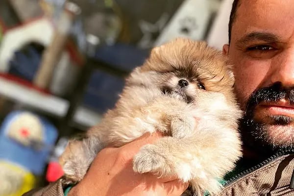 Loca store PETSHOP - Resim 1