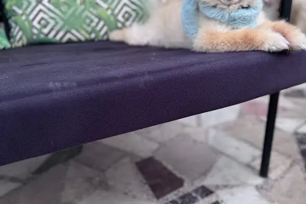 Loca store PETSHOP - Resim 7