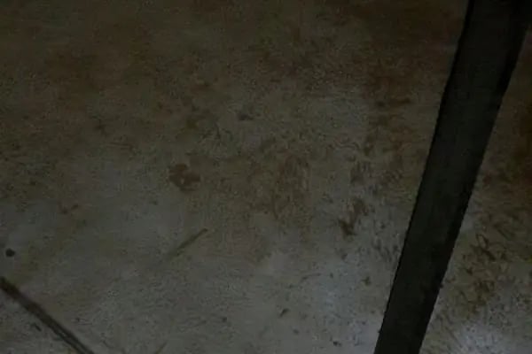 Bi'güzel Halı ve Koltuk Yıkama - Resim 20
