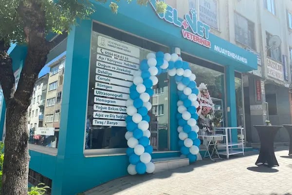 Velvet Veteriner Muayenehanesi - Resim 15