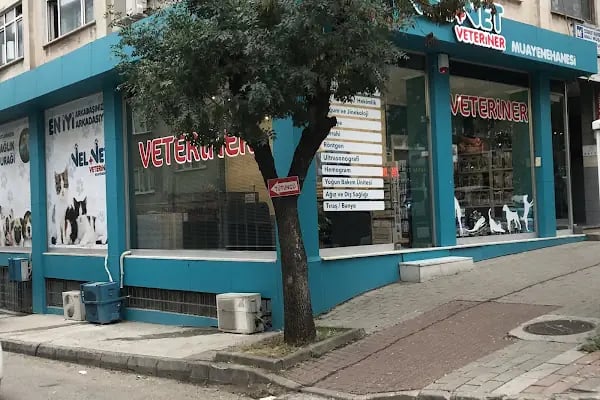 Velvet Veteriner Muayenehanesi - Resim 4