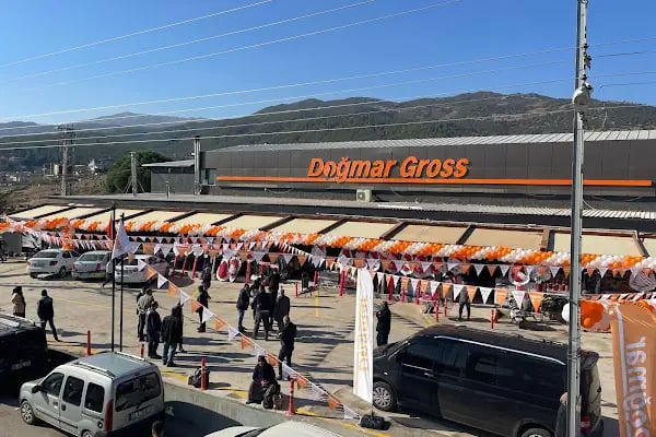 DOĞMAR GROSS - Resim 2