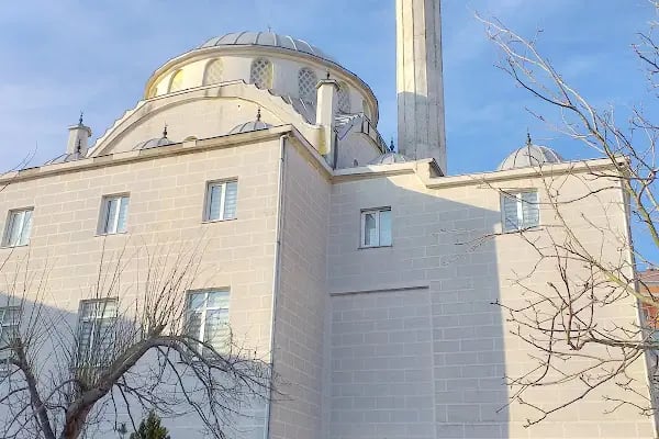 Bağlık Cami - Resim 12
