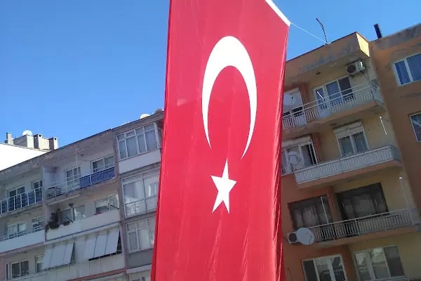 Ali Pehlivanoğlu - Resim 5