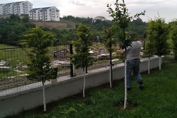 Ebruli temizlik site yönetimi - Resim 8