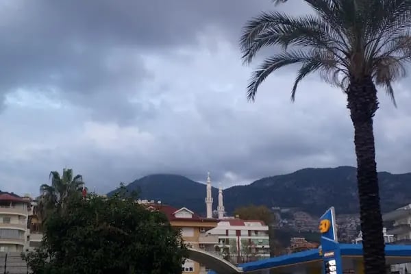 Zümra Emlak &amp; Rent a Car - Resim 5