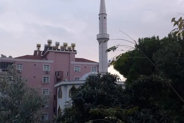 Zümra Emlak &amp; Rent a Car - Resim 4