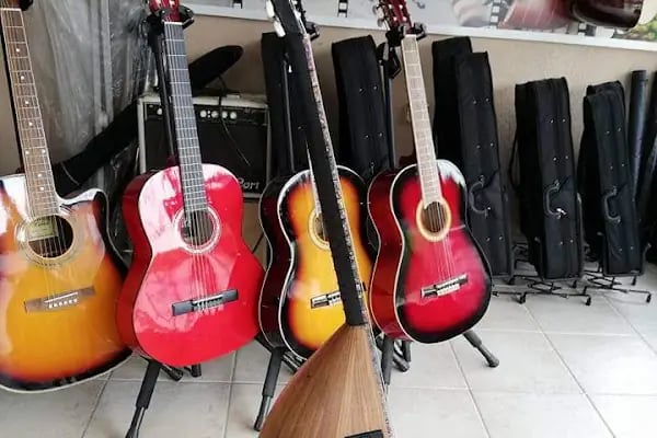 IŞILTI SAZ EVİ - Resim 14
