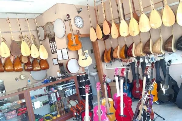 IŞILTI SAZ EVİ - Resim 15