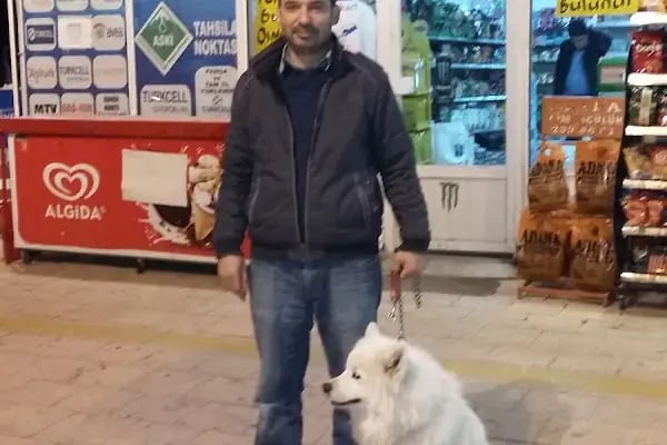 Özen Gıda - Resim 5