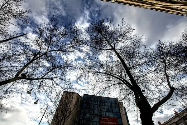 Zümrüt Fotoğraf Stüdyosu Ankara - Resim 8