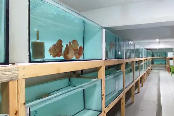 Discus KONYA - Resim 12