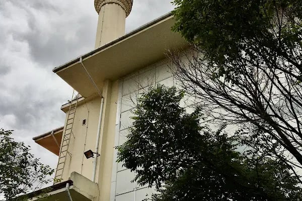 Toki İrşat Camii - Resim 3