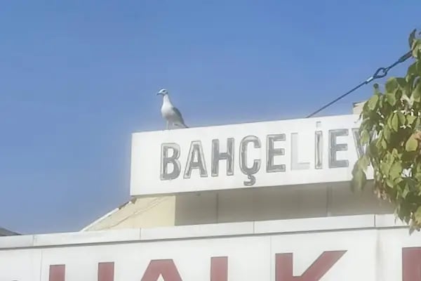 Bahçelievler Kadastro Müdürlüğü - Resim 2