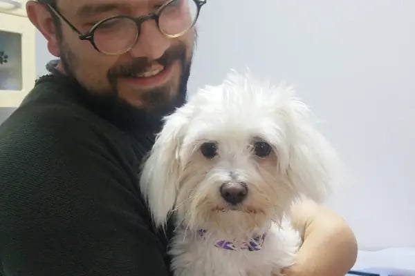 MyPet Veteriner Kliniği - Resim 4