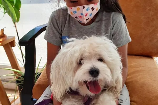MyPet Veteriner Kliniği - Resim 12