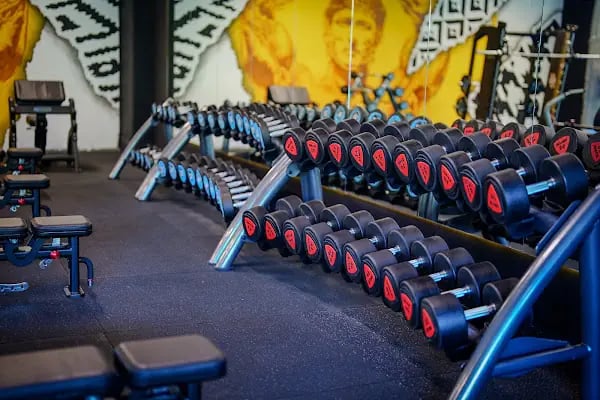 Balaban Hybrid Training - Resim 17