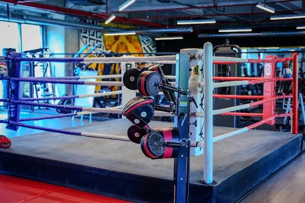 Balaban Hybrid Training - Resim 14