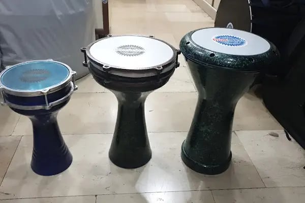 Günebakan Müzik Aletleri - Resim 12