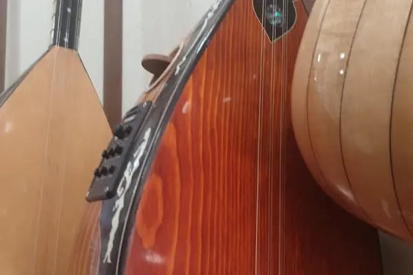 Günebakan Müzik Aletleri - Resim 9
