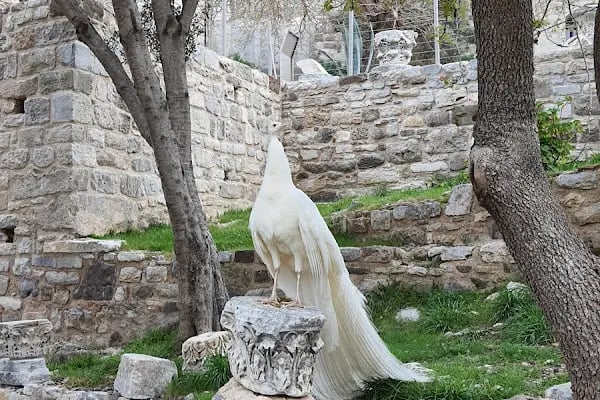 Bodrum kalesi - Resim 3