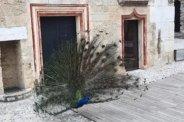 Bodrum kalesi - Resim 7