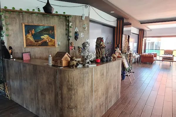 Trio Lounge - Resim 7