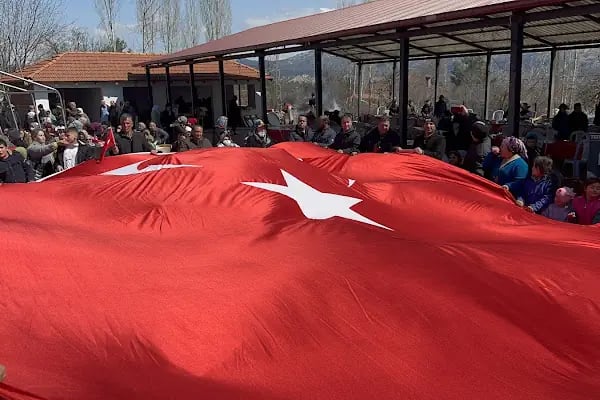 Güney İlköğretim Okulu - Resim 8