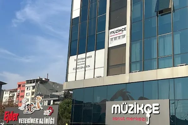 Müzikçe Sanat Merkezi - Resim 7