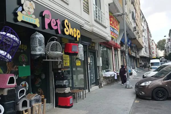 Kuzey Pet Shop Kazım Karabekir mahallesi 1045 sokak no 78/b Esenler/İSTANBUL - Resim 4
