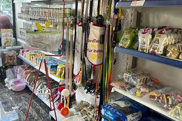 Kuzey Pet Shop Kazım Karabekir mahallesi 1045 sokak no 78/b Esenler/İSTANBUL - Resim 5