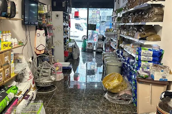 Kuzey Pet Shop Kazım Karabekir mahallesi 1045 sokak no 78/b Esenler/İSTANBUL - Resim 2