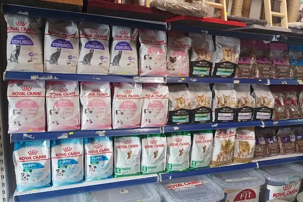Kuzey Pet Shop Kazım Karabekir mahallesi 1045 sokak no 78/b Esenler/İSTANBUL - Resim 20