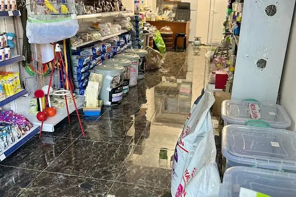 Kuzey Pet Shop Kazım Karabekir mahallesi 1045 sokak no 78/b Esenler/İSTANBUL - Resim 8