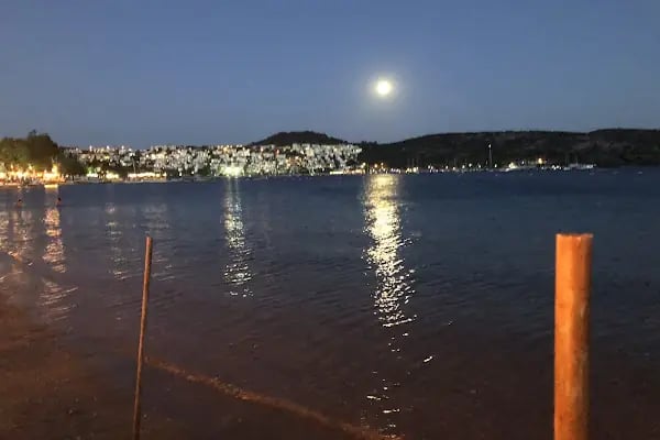 OSLO BİTEZ - Resim 6