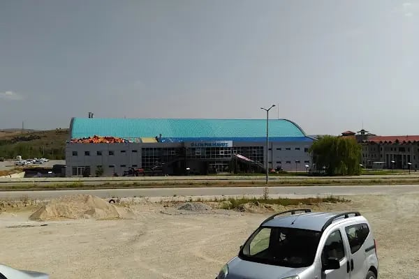 DPÜ Olimpik Yüzme Havuzu - Resim 19