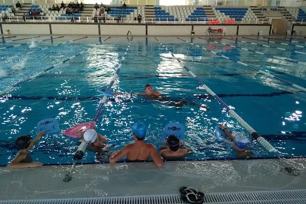 DPÜ Olimpik Yüzme Havuzu - Resim 3