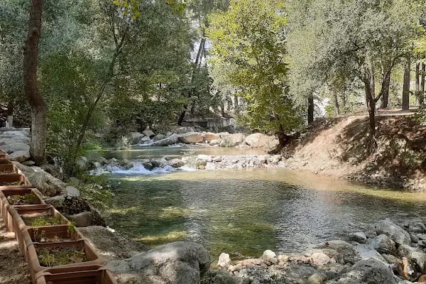 Altıntaş piknik restaurant - Resim 7