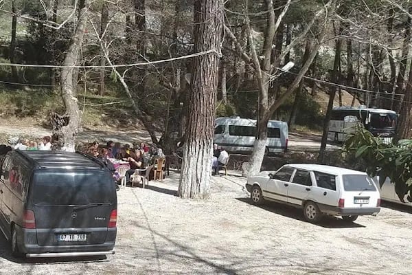 Altıntaş piknik restaurant - Resim 14