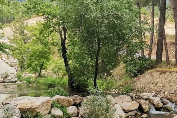 Altıntaş piknik restaurant - Resim 11