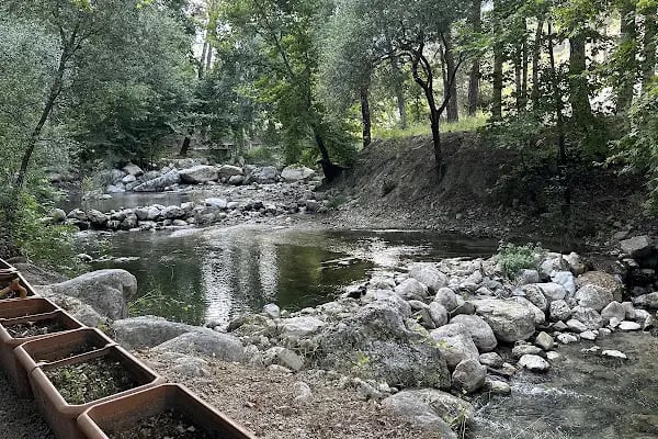 Altıntaş piknik restaurant - Resim 18