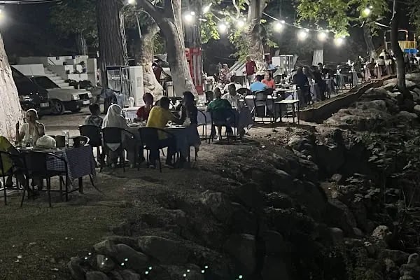 Altıntaş piknik restaurant - Resim 16