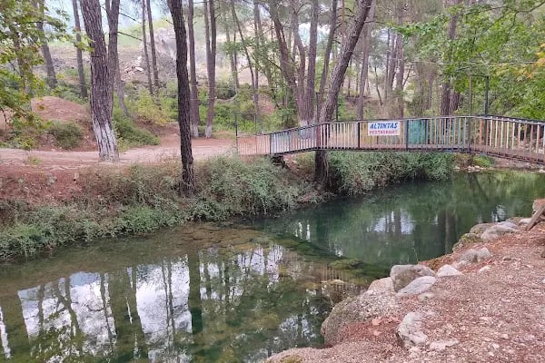 Altıntaş piknik restaurant - Resim 12