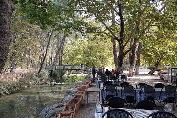 Altıntaş piknik restaurant - Resim 17