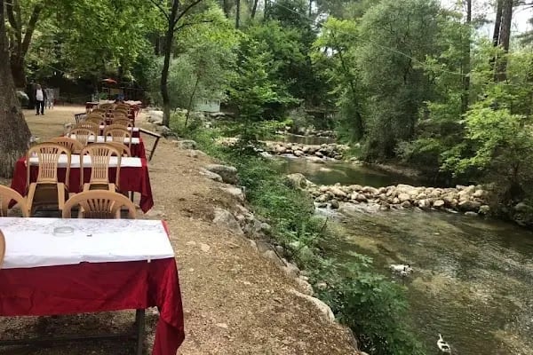 Altıntaş piknik restaurant - Resim 13