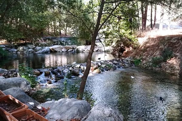 Altıntaş piknik restaurant - Resim 6