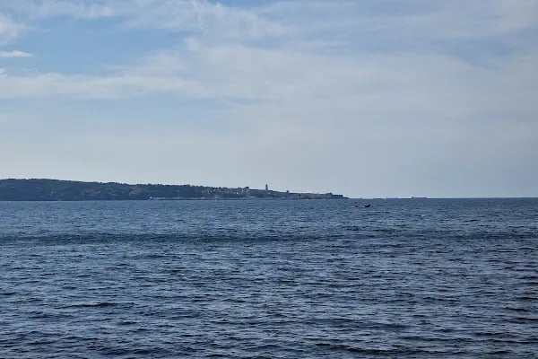 Anadolufeneri Plajı - Resim 8
